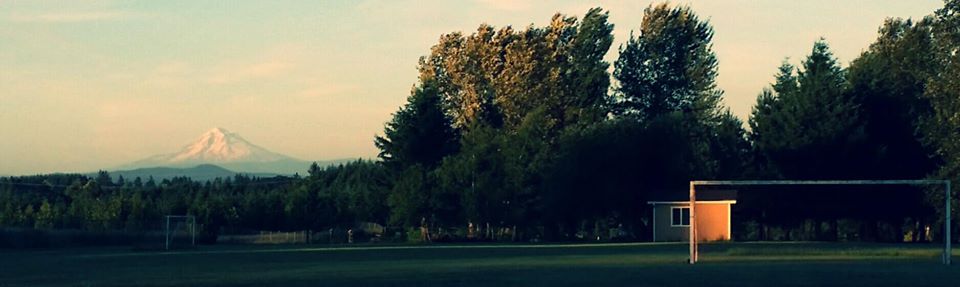 91 school 91 School fields